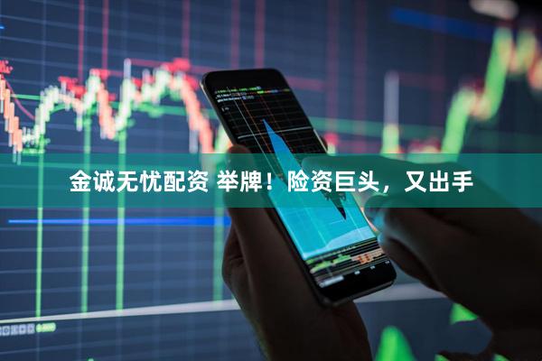 金诚无忧配资 举牌！险资巨头，又出手