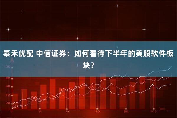泰禾优配 中信证券：如何看待下半年的美股软件板块？