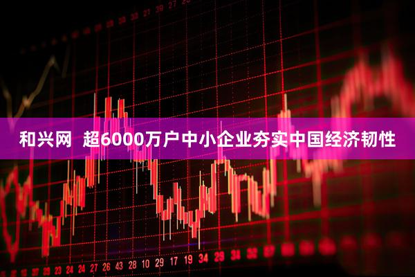 和兴网  超6000万户中小企业夯实中国经济韧性