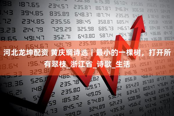 河北龙坤配资 黄庆绸诗选｜最小的一棵树，打开所有翠枝_浙江省_诗歌_生活