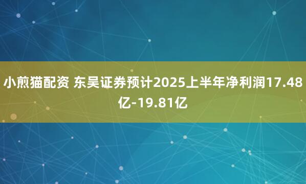 小煎猫配资 东吴证券预计2025上半年净利润17.48亿-19.81亿