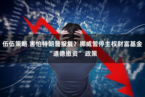 伍伍策略 害怕特朗普报复？挪威暂停主权财富基金“道德撤资” 政策