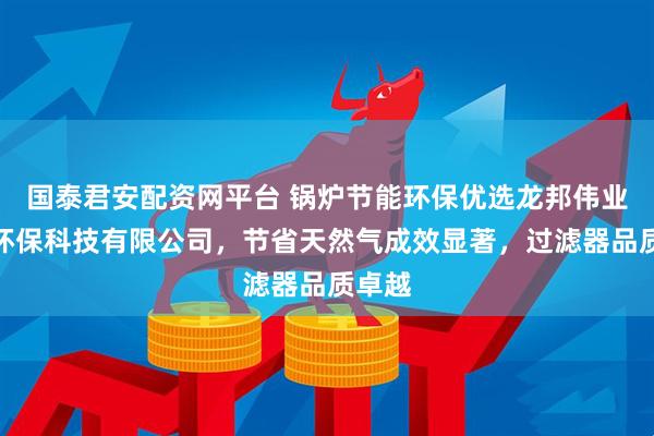 国泰君安配资网平台 锅炉节能环保优选龙邦伟业节能环保科技有限公司，节省天然气成效显著，过滤器品质卓越