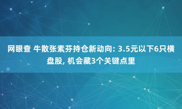 网眼查 牛散张素芬持仓新动向: 3.5元以下6只横盘股, 机会藏3个关键点里
